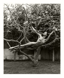 art-nude-photographer-treewalk